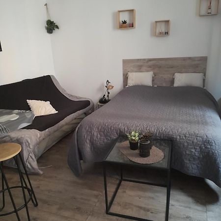 Studio Cosy Proche Centre Mpl/ Pk Gratuit 몽펠리에 외부 사진